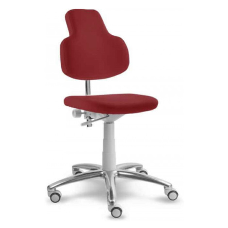 MAYER pracovní židle Medi 2206 multifunkční