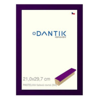 DANTIK rámeček 21 × 29,7, PASTELKA fialový rovný sklo čiré