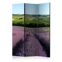 Paraván Lavender fields Dekorhome 225x172 cm (5-dílný)