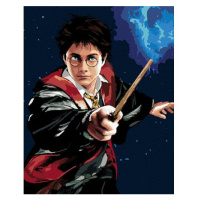 Malování podle čísel - Harry Potter a hůlka