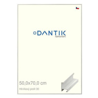 DANTIK rámeček 50 × 70, ALU profil 6030 Dýha bílý plexi čiré