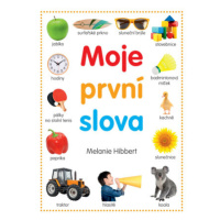 Moje první slova (Defekt) - Melanie Hibbert