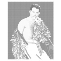 Tečkování - FREDDIE MERCURY Rozměr: 40x50 cm, Rámování: bez rámu a bez vypnutí plátna