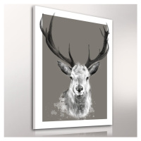 Obraz na plátně DEER B různé rozměry Ludesign ludesign obrazy: 80x60 cm