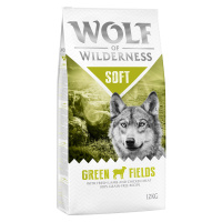 Wolf of Wilderness granule, 12 kg za skvělou cenu - Adult 