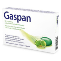 GASPAN 90MG/50MG CPS ETM 14