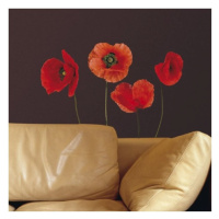 KUPSI-TAPETY Poppies 54101 samolepící dekorace Crearreda vlčí máky samolepky na zeď 31x31 cm