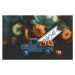 Fotografie Little truck with load of miniature pumpkins for fall and Thanksgiving, CatLane, 40 ×