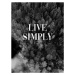 Ilustrace Live simply, Finlay & Noa, 30 × 40 cm