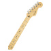 Fender Player Stratocaster MN PWT