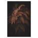 Fotografie brown  fern leaves in autumn season, Cavan Images, 26.7 × 40 cm