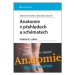 Anatomie v přehledech a schématech - Elke Lütjen-Drecoll, Johannes W. Rohen