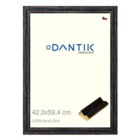 DANTIK rámeček 42 × 59,4, LYON černý plexi čiré