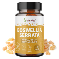 Blendea Boswellia serrata 60 kapslí