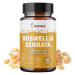 Blendea Boswellia serrata 60 kapslí