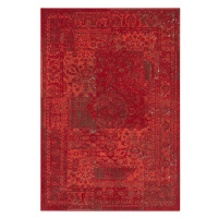 Hanse Home Collection koberce Kusový koberec Celebration 103467 Plume Red - 80x250 cm