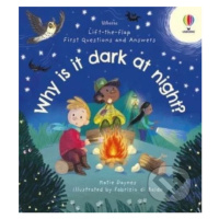 Why is it dark at night? - Katie Daynes - kniha z kategorie Pro děti