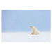 Fotografie Polar bear cub in falling snow., Patrick J. Endres, 40x26.7 cm