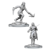 Dungeons & Dragons Nolzur s Marvelous Miniatures: Half-Elf Rogue Female