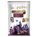 Harry Potter Starter Set (kovové minikarty) - EN