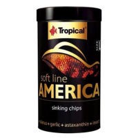 Tropical America L 100 ml 52 g