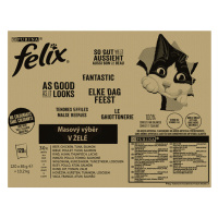 FELIX Fantastic lahodný výběr v želé 120 x 85g