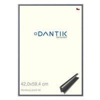 DANTIK rámeček 42 × 59,4, ALU profil 7002 Platina matný plexi čiré