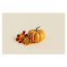 Fotografie Pumpkin with autumn marigold flowers, Inna Skaldutska, 40 × 26.7 cm