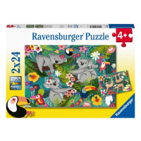 Ravensburger 05183 puzzle koaly a lenochodi 2 x 24 dílků