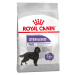 Royal Canin Maxi Adult Sterilised - 2 x 12 kg