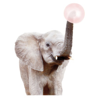 Fotografie Elephant with bubble gum, Sisi & Seb, 30 × 40 cm