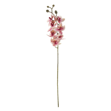 Umělá květina Orchidej světle růžová, 10 x 10 x 63 cm Autronic