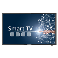 Megasat LED TV Royal Line IV 19 Smart