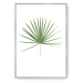 Dekoria Plakát Tropical Leaf Green, 50 x 70 cm, Vybrat rám: Stříbrný