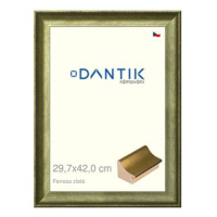 DANTIK rámeček 29,7 × 42, Ferrosa zlatý plexi čiré