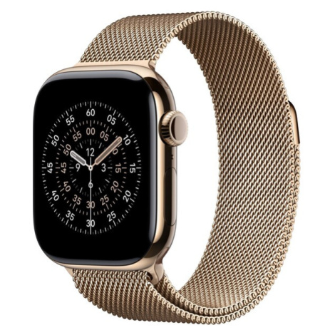 Apple Watch 42/41/40/38mm zlatý milánský tah