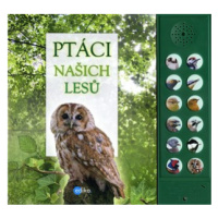 Ptáci našich lesů | Hana Marsault, Andrea Pinnington, Caz Buckingham