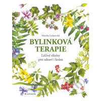 Bylinková terapie (Léčivé elixíry pro zdraví i krásu) - kniha z kategorie Biologie