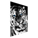 ArtB2B Tapety - Tygr a tygřice Rozměr: 368x248 cm, Materiál: Wall Paper HP