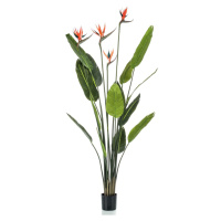 Emerald Umělá Strelitzia 4 rostliny v květináči 150 cm