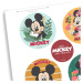 Dekora - Jedlý papír - Mickey & Minnie 21 x 14,8cm