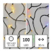 EMOS LED vánoční řetěz 2v1 Multi s programy 10 m teplá bílá/barevná