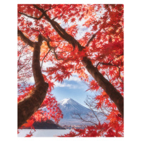 Fotografie Mt.fuji is in the autumn leaves, Makiko Samejima, 30 × 40 cm