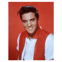 Fotografie Elvis Presley, 30 × 40 cm