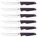 BERLINGERHAUS Sada steakových nožů 6 ks Purple Eclipse Collection