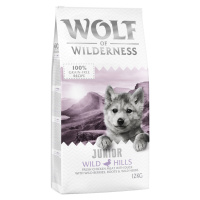 Little Wolf of Wilderness Junior - Wild Hills - kachna - Výhodné balení 2 x 12 kg