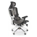 Kancelářská ergonomická židle ETHAN — síťovina, černá / šedá