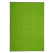 Vopi koberce Kusový koberec Eton zelený 41 - 280x370 cm