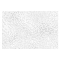 Fotografie White Silver Bubble Background Abstract Snake, Anna Bliokh, 40 × 26.7 cm