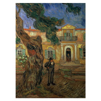 Obrazová reprodukce St. Paul's Hospital, St Remy, 1889, Vincent van Gogh, 30 × 40 cm